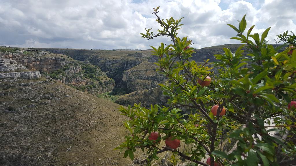 Casa Il Gufo E La Pupa Villa Matera Eksteriør billede